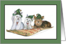 Christmas Yorkies card