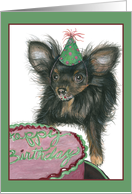 Happy Birthday Chihuahua card