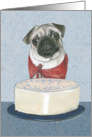 Happy Birthday Pug card