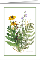 Adirondack Floral B card