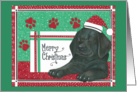 Christmas Black Lab with Gift card