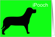 iPooch