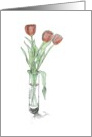 Red Tulips card