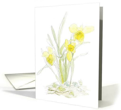 Daffodils card (56361)