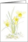 Daffodils card