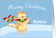 Meowy Christmas...