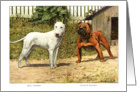 Bull Terrier and English Bulldog Art Card