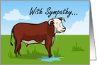 With Sympathy Sad Hereford Cow card