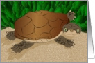 African Side Neck Turtle Illustration card