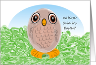 Owl Easter Egg Card