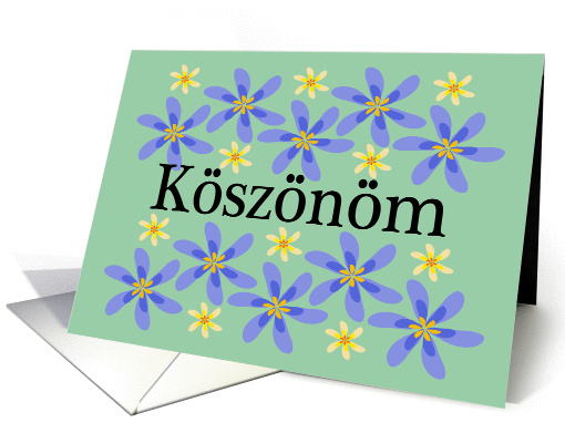 Hungarian Thank You with flowers card (1372908)