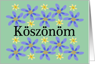 Hungarian Thank You with flowers card