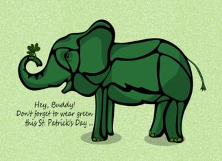 St Patrick's Day...