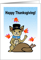 Happy Thanksgiving Chihuahua card