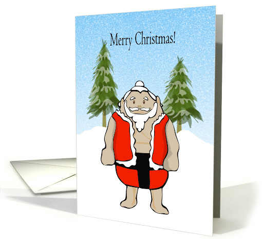 Sumo Santa Christmas card (1738236)