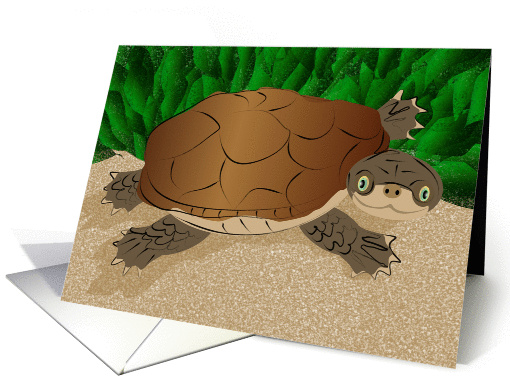 African Side Neck Turtle Illustration card (998553)