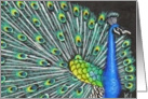 Mosaic BLANK INSIDE Peacock card