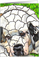 BLANK INSIDE St. Bernard card