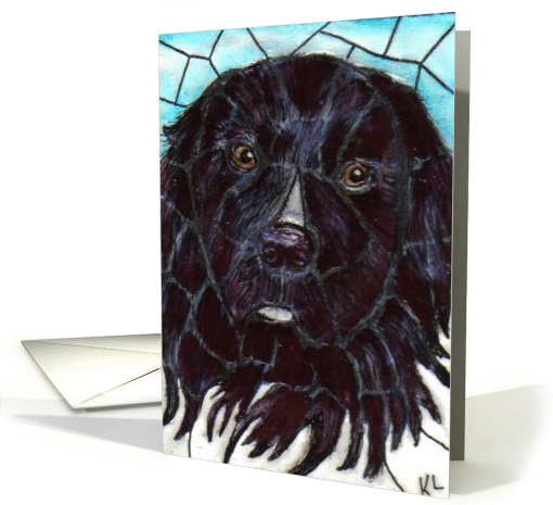 BLANK INSIDE Newfie dog
 card (64092)