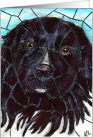 BLANK INSIDE Newfie dog card