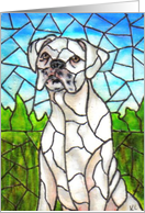 BLANK INSIDE White Boxer card