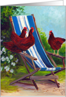 Three hens on a chair card