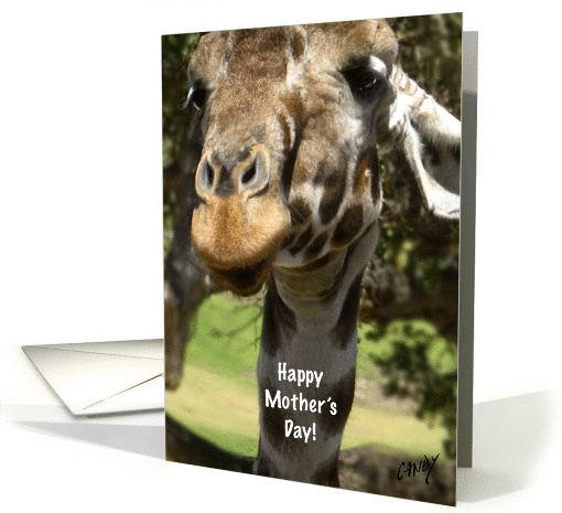 Mother's Day card (126461)
