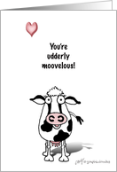 Valentine Cow! card