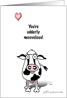 Valentine Cow!