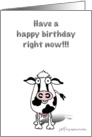 Bossie birthday cow! card