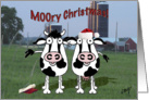 MOOry Christmas! Christmas card