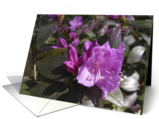 Save the Date. Wedding date. Azaleas. Spring Flowers card (626763)