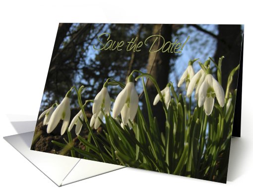 Save the Date. Wedding date. Snowdrops. Spring Flowers card (626827)