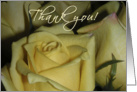 Thank you. Yellow Roses card