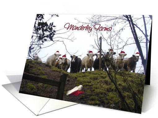 Manderley Farms Christmas card (724587)