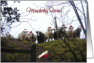 Manderley Farms Christmas Card