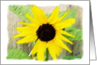 Sunflower-Thank You card