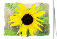 Sunflower-You Bring Sunshine card