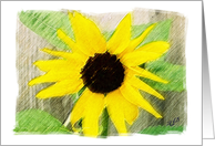 Sunflower-Anniversary card