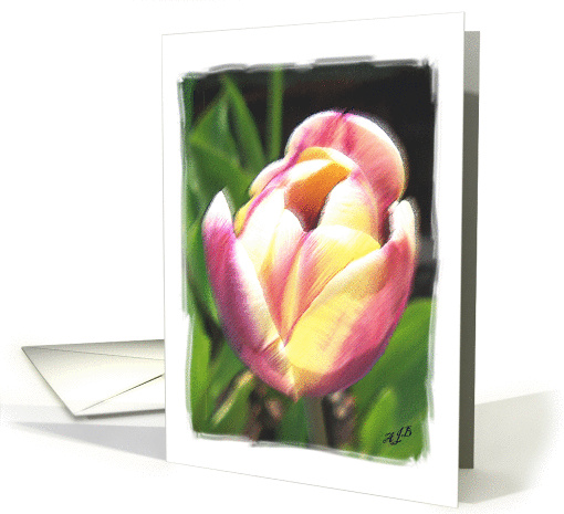 Tulip-Thank You card (68924)