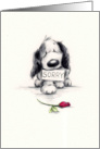 The sad looking dog apology to someone special. card