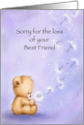Deepest sympathy for the loss of your loved furry pet. card
