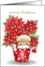 Bear with Santa’s hat popping from pot of poinsettias,Christmas card