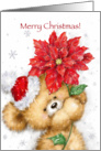 Cute bear with Santa’s hat holding poinsettia, Merry Christmas. card