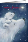 Polar bear cub on back of mother looking at star, Merry Christmas. card