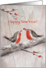 Two robins on snowy branch, passing berry to another. Happy New Year. card