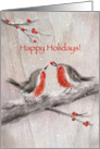 Two robins on snowy branch, passing berry to another. Happy Holidays. card