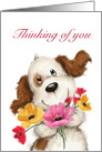 A cute dog with colorful flowers for thinking of you. card