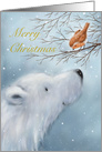 Furry white polar bear looking at cute robin on tree, Merry Christmas card