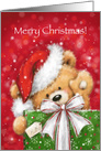 Lovely bear with Santa’s hat saying HI with big Christmas present. card